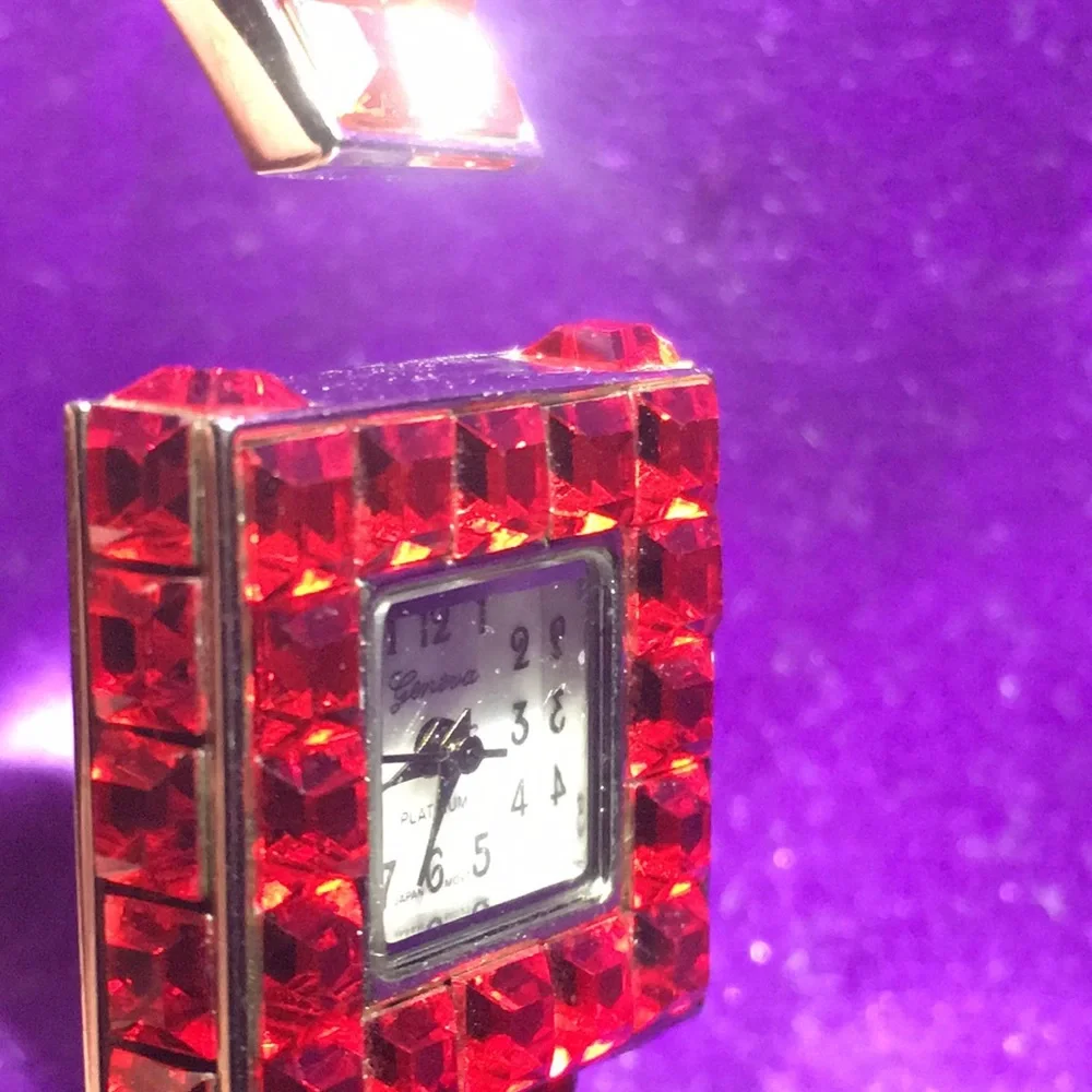 Ladies’ Geneva Watch